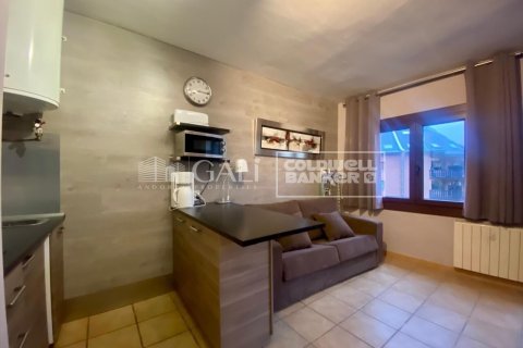 36 sq.m. apartment for rent in Principado De Andorra (Ninguna Poblacion Tiene C.P.), Lleida, Catalonia, Spain № 6101 - photo 5