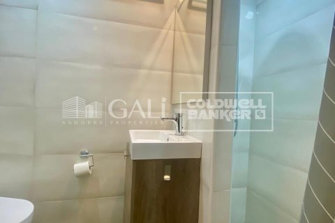 36 sq.m. apartment for rent in Principado De Andorra (Ninguna Poblacion Tiene C.P.), Lleida, Catalonia, Spain № 6101 - photo 10