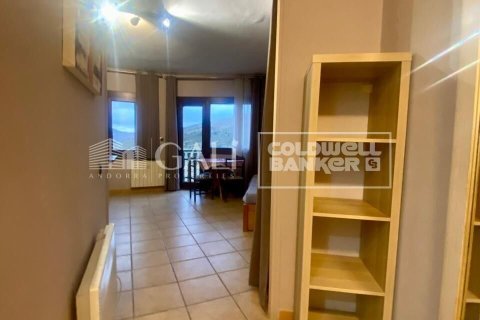 36 sq.m. apartment for rent in Principado De Andorra (Ninguna Poblacion Tiene C.P.), Lleida, Catalonia, Spain № 6101 - photo 8