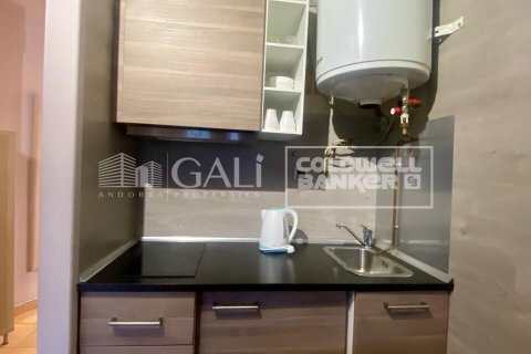 36 sq.m. apartment for rent in Principado De Andorra (Ninguna Poblacion Tiene C.P.), Lleida, Catalonia, Spain № 6101 - photo 7