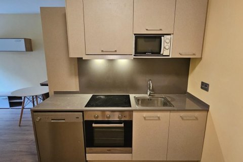 1 bedroom apartment for rent in Principado De Andorra (Ninguna Poblacion Tiene C.P.), Lleida, Catalonia, Spain № 6102 - photo 4