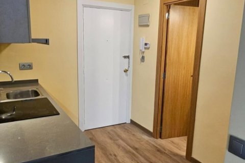 1 bedroom apartment for rent in Principado De Andorra (Ninguna Poblacion Tiene C.P.), Lleida, Catalonia, Spain № 6102 - photo 6