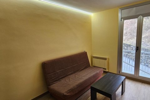 1 bedroom apartment for rent in Principado De Andorra (Ninguna Poblacion Tiene C.P.), Lleida, Catalonia, Spain № 6102 - photo 3