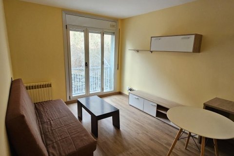 1 bedroom apartment for rent in Principado De Andorra (Ninguna Poblacion Tiene C.P.), Lleida, Catalonia, Spain № 6102