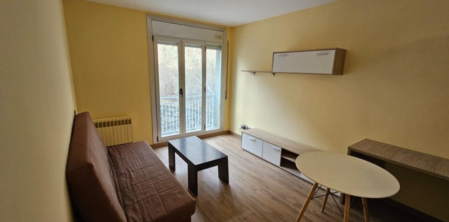 1 bedroom apartment for rent in Principado De Andorra (Ninguna Poblacion Tiene C.P.), Lleida, Catalonia, Spain № 6102