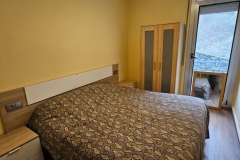 1 bedroom apartment for rent in Principado De Andorra (Ninguna Poblacion Tiene C.P.), Lleida, Catalonia, Spain № 6102 - photo 5