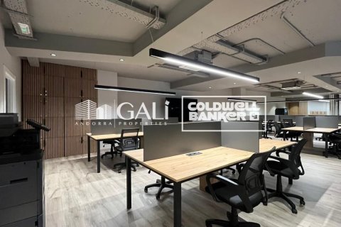 100 m² office à louer à Principado De Andorra (Ninguna Poblacion Tiene C.P.), Lleida, Catalonia, Spain № 6153 - photo 6