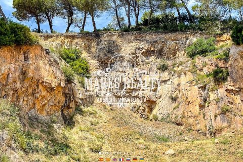 Купить земельный участок в Санта-Кристина, Испания 1217м², № 1016 - фото 4