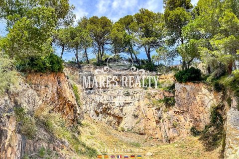 Купить земельный участок в Санта-Кристина, Испания 1217м², № 1016 - фото 3