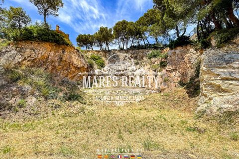 Купить земельный участок в Санта-Кристина, Испания 1217м², № 1016 - фото 10