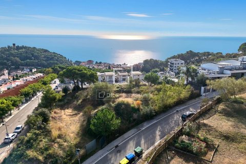 Villa de 4 dormitorios en venta en Caldes d'Estrac, Barcelona, Cataluña, Spain № 4175 - foto 24