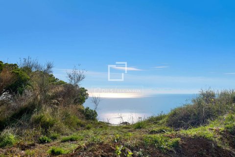 Villa de 4 dormitorios en venta en Caldes d'Estrac, Barcelona, Cataluña, Spain № 4175 - foto 3