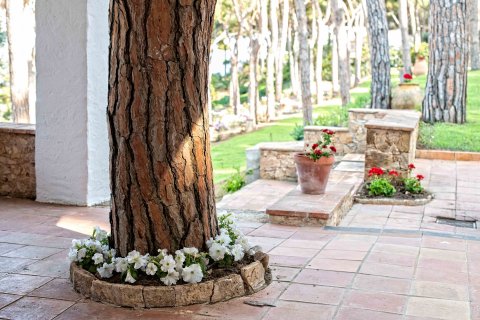 Купить дом в Тамариу, Испания с 8 комнат, № 1667 - фото 29