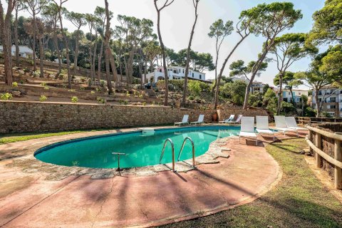 Купить дом в Тамариу, Испания с 8 комнат, № 1667 - фото 7