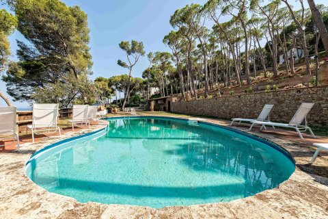 Купить дом в Тамариу, Испания с 8 комнат, № 1667 - фото 10