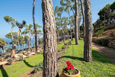 Купить дом в Тамариу, Испания с 8 комнат, № 1667 - фото 3