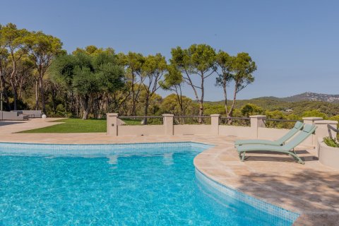 Купить дом в Льяфранк, Испания с 10 комнат, № 1668 - фото 10