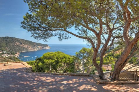 Купить дом в Бегур, Испания с 6 комнат, № 1671 - фото 21