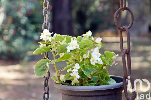 Купить дом в Торроэлья де Монтгри, Испания с 12 спален, 2062м², № 4869 - фото 30