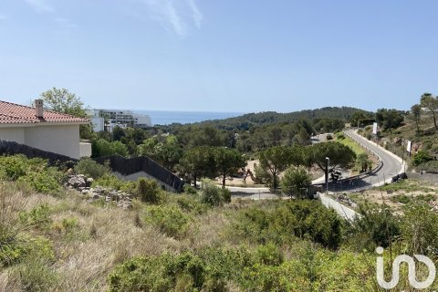 2450 sq.m. land plot for sale in Sitges, Barcelona, Catalonia, Spain № 5067 - photo 7