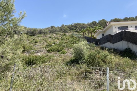 2450 sq.m. land plot for sale in Sitges, Barcelona, Catalonia, Spain № 5067 - photo 10