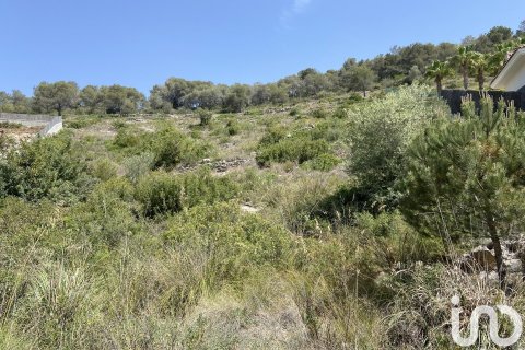 2450 sq.m. land plot for sale in Sitges, Barcelona, Catalonia, Spain № 5067 - photo 5