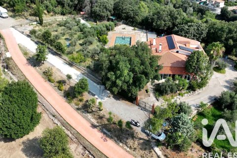 Купить дом в Терраса, Испания с 4 спальни, 1323м², № 7483 - фото 4