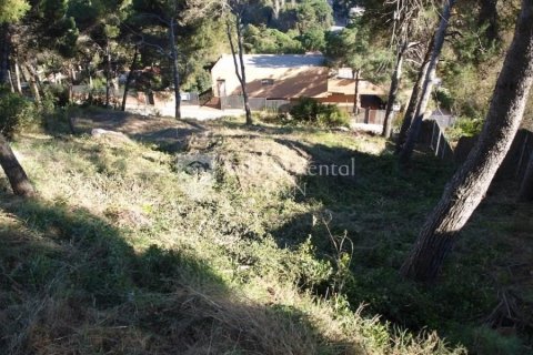 822 sq.m. land plot for sale in Blanes, Girona, Catalonia, Spain № 6755 - photo 4