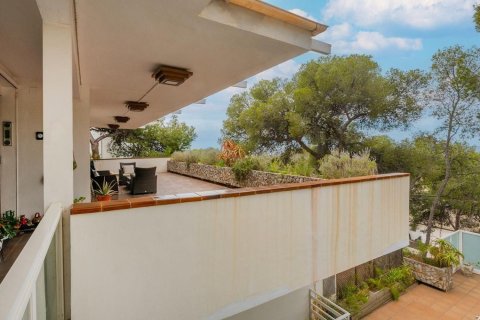 Купить дом в Кастельдефельс, Испания с 13 комнат, 653м², № 6215 - фото 11