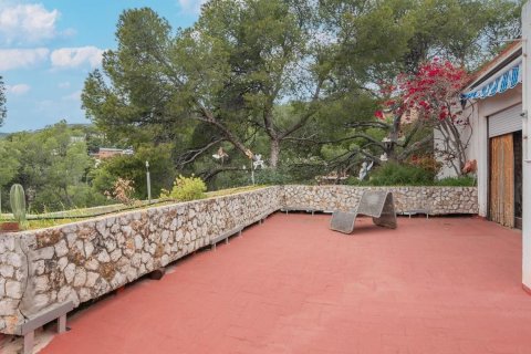 Купить дом в Кастельдефельс, Испания с 13 комнат, 653м², № 6215 - фото 3