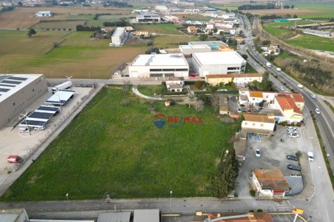 Земельный участок 5500м² в Фигерасе, Герона, Каталония, Испания № 1936