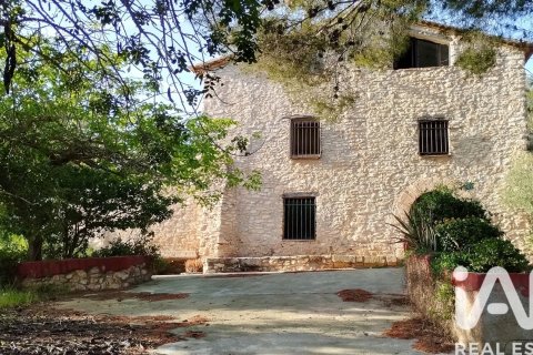 40000 sq.m. land plot for sale in El Catllar, Tarragona, Catalonia, Spain № 7443 - photo 29