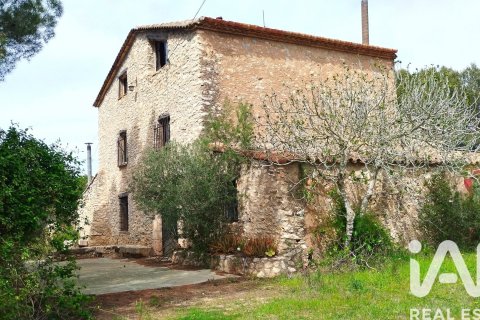 40000 sq.m. land plot for sale in El Catllar, Tarragona, Catalonia, Spain № 7443 - photo 30