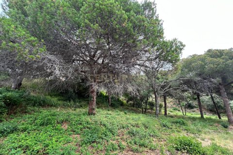 land plot for sale in Mataro, Barcelona, Catalonia, Spain № 7601 - photo 12