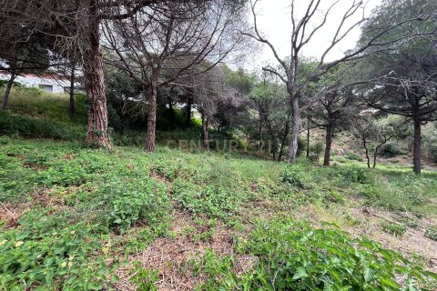 land plot for sale in Mataro, Barcelona, Catalonia, Spain № 7601 - photo 10