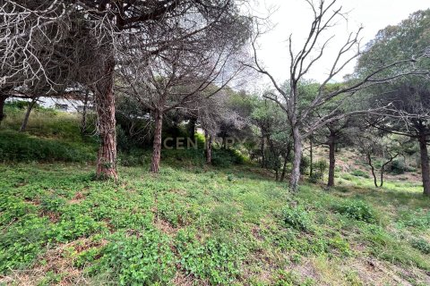 land plot for sale in Mataro, Barcelona, Catalonia, Spain № 7601 - photo 13