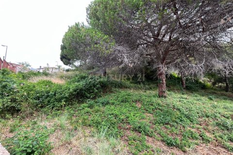 land plot for sale in Mataro, Barcelona, Catalonia, Spain № 7601 - photo 11