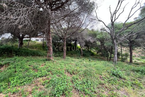 land plot for sale in Mataro, Barcelona, Catalonia, Spain № 7601 - photo 16
