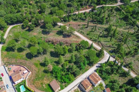  Castillos de 26210 m² en venta en Aiguafreda, Barcelona, Cataluña, Spain № 7016 - foto 11
