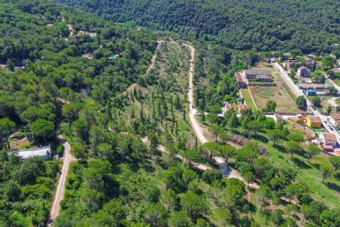  Castillos de 26210 m² en venta en Aiguafreda, Barcelona, Cataluña, Spain № 7016 - foto 17