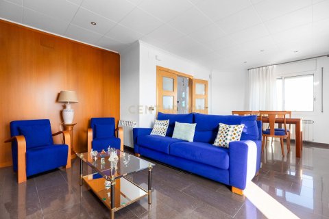 5 chambres house à vendre à Llica De Vall, Barcelona, Catalonia, Spain № 6849