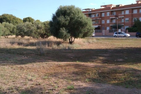 Parcela en venta en Cubelles, Barcelona, Cataluña, Spain № 6850 - foto 17