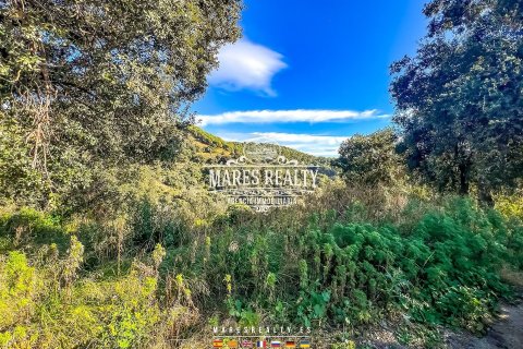 Villa de 4 dormitorios en venta en Santa Susanna, Barcelona, Cataluña, Spain № 1031 - foto 15