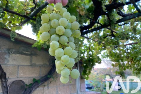 5 bedrooms house for sale in Sentmenat, Barcelona, Catalonia, Spain № 4691 - photo 21