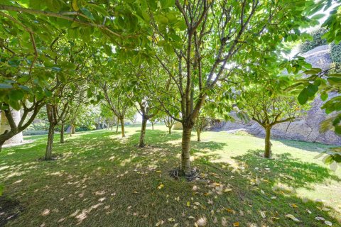 Купить виллу в Барселона, Испания с 6 спален, 1280м², № 1270 - фото 4