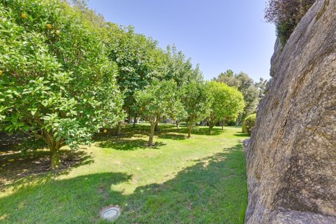 Купить виллу в Барселона, Испания с 6 спален, 1280м², № 1270 - фото 6