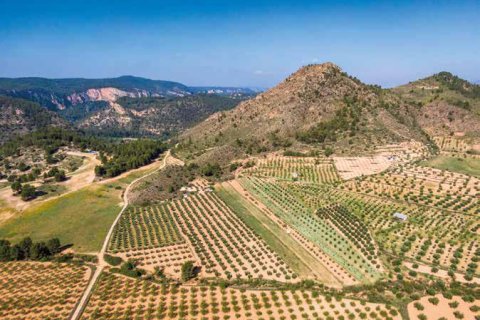 Купить коммерческую недвижимость в Барселона, Испания с 17 спален, 1286м², № 1274 - фото 15