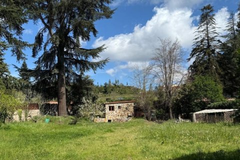 Купить виллу в Барселона, Испания с 6 спален, 417м², № 1275 - фото 22