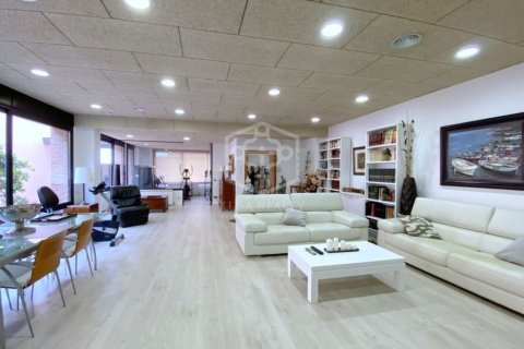 Купить виллу в Кальдес д'Эстрак, Испания с 5 спален, 379м², № 945 - фото 5