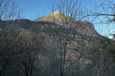 4 bedrooms house for sale in Girona, Catalonia, Spain № 4686 - photo 16